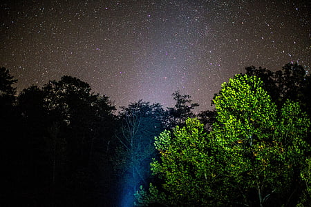 green leafed trees under dark sky thumbnail