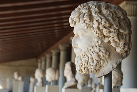 assorted head busts in museum thumbnail