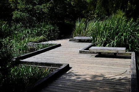 empty brown wooden dock near bushes thumbnail