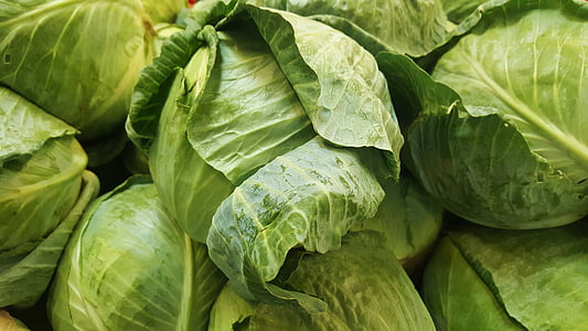 close up photo of green cabbages thumbnail