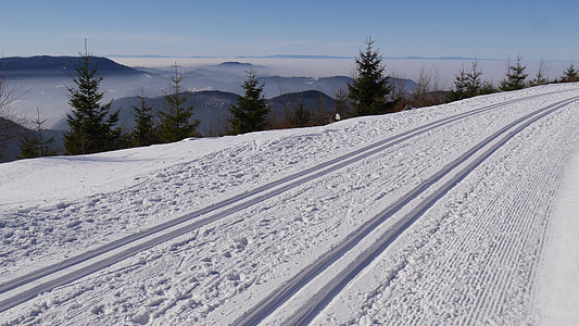 Ski Cross-Country Skiing, Black Forest thumbnail
