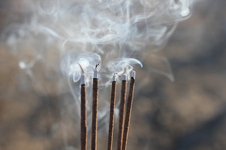 macro shot photography of brown sticks thumbnail