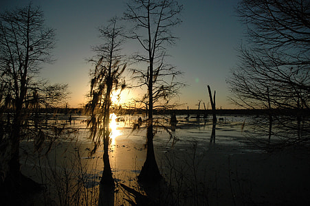 Sunset over the Bayou in Louisiana thumbnail