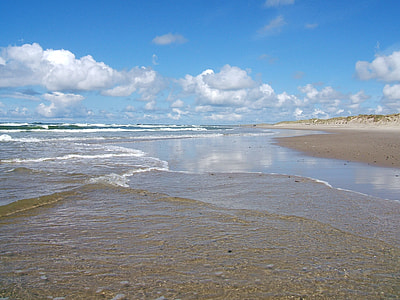 seashore during daytime thumbnail