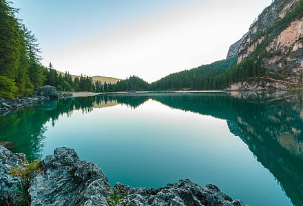 mountain and forest near body of water thumbnail
