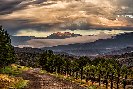 horizon scenery of mountain and trees thumbnail