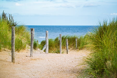 five gray concrete posts under white and blue sky thumbnail