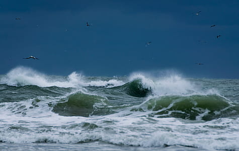 birds flying above ocean waves during daytime thumbnail
