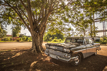 vintage coupe under green leafed tree thumbnail