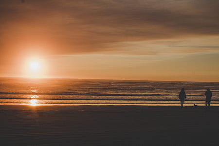 silhouette of person standing near body of water thumbnail