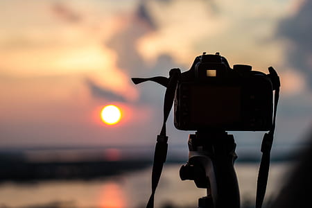 selective focus photography of DSLR camera during golden hour thumbnail