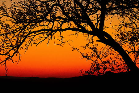 dawn, sky, sunset, sunrise thumbnail