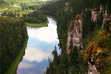 aerial view photography of river between green leaf trees at daytime thumbnail