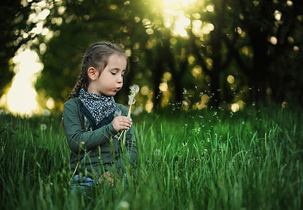 photography of girl sitting on grass blowing dandelion during golden hour thumbnail