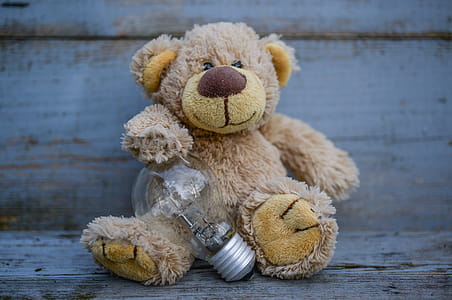Close-Up Photography of Teddy Bear Near Light Bulb thumbnail