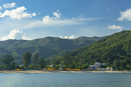 Forest Covered Mountain Near the Ocean thumbnail