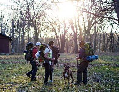 three men hiking in the woods during daytime thumbnail