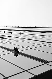 architectural photography of glass building thumbnail
