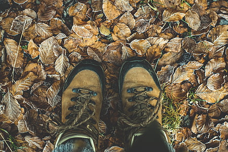person wearing brown-and-black leather hiking boots standing on ground with brown leaves thumbnail
