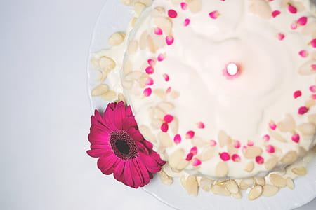 close-up photo of round 1-layered cake thumbnail