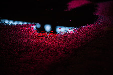 street, water, neon, light thumbnail
