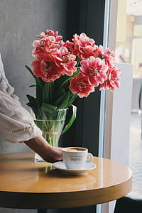 Person Placing Cup of Latte on White Saucer Near Pink Flowers in Bloom thumbnail