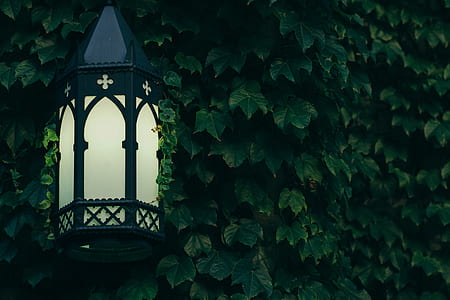 black garden sconce turned on thumbnail