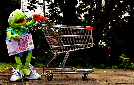 Kermet the Frog holding 500 banknote pushing shopping cart thumbnail