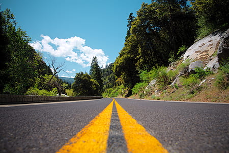 concrete road surrounded with trees thumbnail