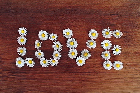 LOVE daisy flower artwork thumbnail