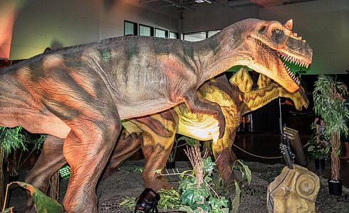 Allosaurus thumbnail