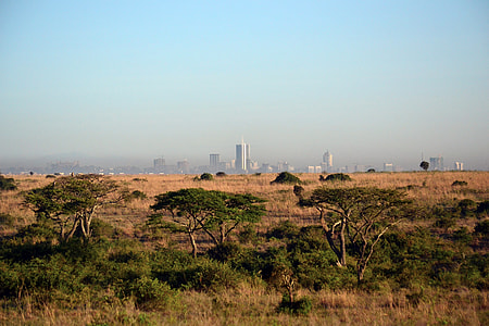 Game Preserve with Nairobi in the Background thumbnail