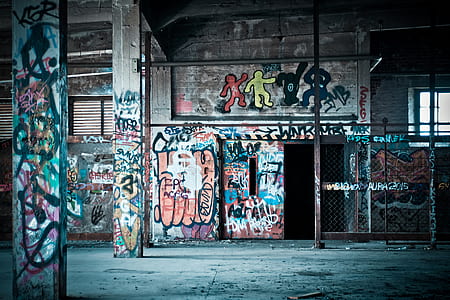 selective focus photography of graffiti wall art thumbnail