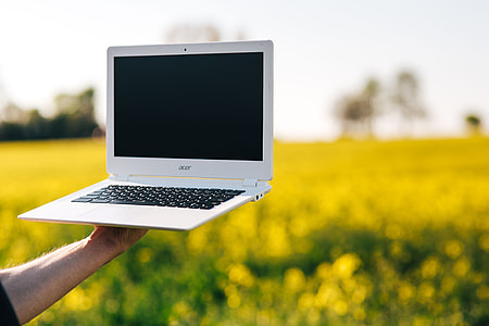 Laptop computer, mobile phone and spring rapes field thumbnail