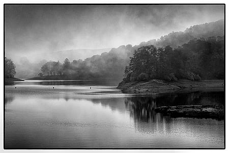 greyscale photo of lake and trees thumbnail