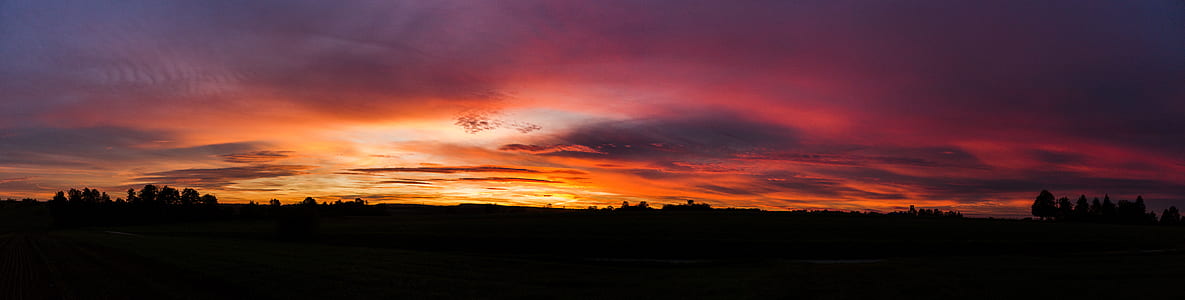 horizon of trees and clouds thumbnail