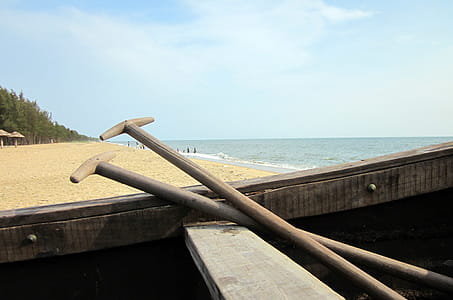 Boat paddles thumbnail