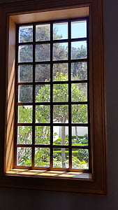 green leafed trees near window thumbnail