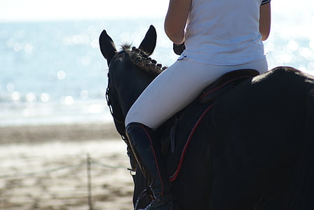 person riding horse near beach thumbnail
