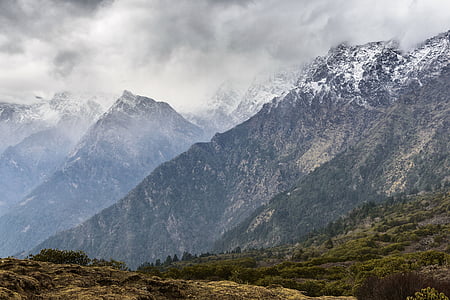 mountain and tree at daytime thumbnail
