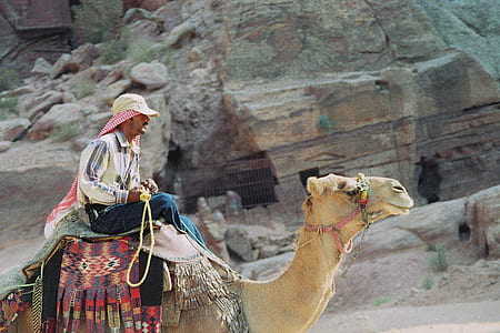 man riding camel thumbnail
