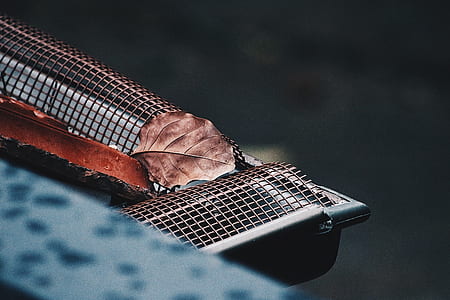 dried leaf on gutter selective focus photography thumbnail