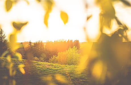 light, dawn, landscape, nature thumbnail