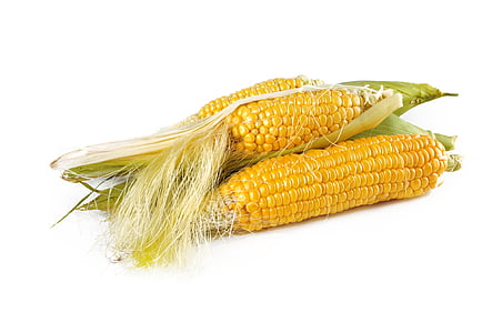 two yellow corns thumbnail