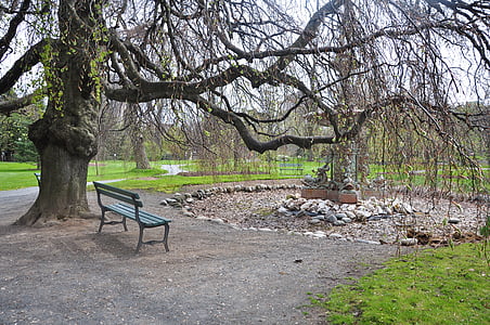 outdoor bench near tree thumbnail