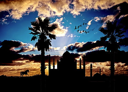 silhouette photo of mosque thumbnail