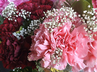 pink and white flower arrangement thumbnail