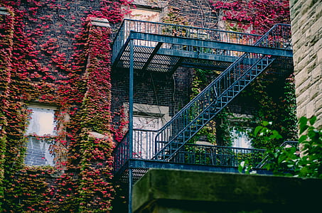 Blue Metal Ladder thumbnail