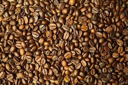 coffee beans thumbnail