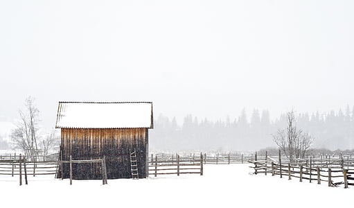 brown house surrounded by snow thumbnail